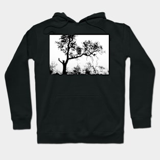 African White-backed Vultures in Silhouette Hoodie